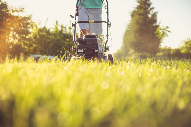 Settore di applicazione giardinaggio Metalfirma